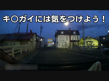 【ドラレコ動画】函館ではよくあることPart2