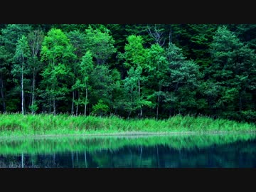 【NNIオリジナル曲】魔法使いの村【ゲーム風BGM】