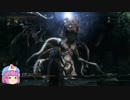 今更ブラッドボーン聖杯ダンジョン編part11