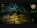 【初見プレイ】噂の神ゲーThe Witcher 3 その38