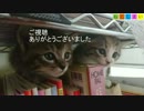 【ねこしまい】026　スライドショー（Cat Sister）