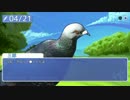【実況】BBAが鳩に目覚める　第３羽