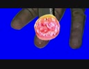 切除BB.mp4