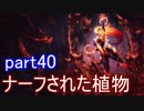 【LoL】エンジョイサモナー日誌　【実況】part40