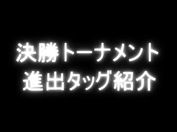 【MUGEN】ポケモン風タッグトーナメント【サン＆ムーン杯】Part34.5