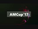 【AMCup'17】NewFace【MG】