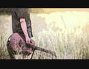 ［弾き語り］バラ色の日々