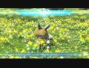 【PSO2】輝光を屠る輪廻の徒花【Fo/Te 氷光 8:06】