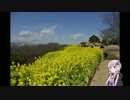 【初投稿】ゆかりさんと行く二宮_吾妻山【車載動画】