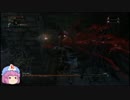 今更ブラッドボーン聖杯ダンジョン編part14