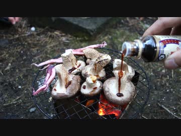 アウトドアをやろう！「シイタケ狩って炭火で食べるぞ！」 in 八丈島