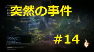 [実況]念願のオンラインへ。ドラゴンズドグマオンライン実況プレイPart14