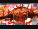 【PSO2】輝光を屠る輪廻の徒花（ソロ専用徒花なのだ）Fo/Te　10分29秒