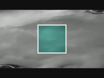 asashimono / American Last Night × ein