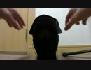 ☆音フェチ☆  〜袋の可能性〜  ダミーヘッドマイク使用