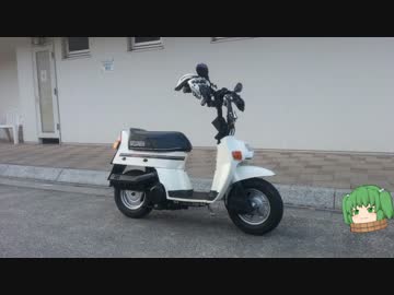 【スカッシュと】ランチいくよ【トコトコいこう】