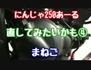 にんじゃ250あーる 直してみたいかも④