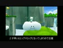 SMG2 RTAショトカ解説 基本操作編