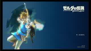 【闘会議2017】Nintendo Switch ゼルダの伝説ブレスオブザワイルド　プレイpart1