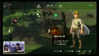 【闘会議2017】Nintendo Switch ゼルダの伝説ブレスオブザワイルド　プレイpart3