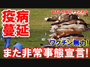 【韓国で非情事態宣言】 疫病が蔓延して移動禁止命令！