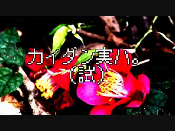 カイダン実ハ。試