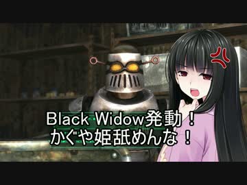 東方爆心鉄 ブロン子さんがFallout3で頑張るようです -第二十六話-その1