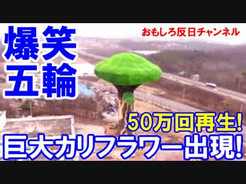 【韓国お笑い平昌五輪】 海外メディアが大酷評!10日間で計50万回再生！