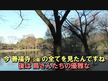 カメーナエの散歩道「湧き出る水を巡って」Part3