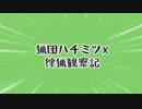 【MHX】猟団ハチミツX狩猟観察記-part10-【実況】