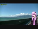 今年こそ春を先取り！河津桜ツーパートⅠ【結月ゆかり車載】