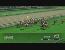配合理論ガバガバな馬主が牝馬六冠を目指す　３２年目（５７年目）