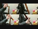 [リコーダー] ファイナルファンタジーメインテーマ(FinalFantasy Main Theme)