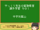 ゆっくり先生の鉱物教室【現地学習1 中宇利鉱山】