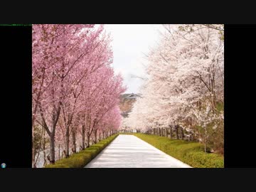 樹海の神秘　アレンジ（クロノトリガー）