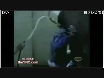 【ch】うんこちゃん『雑談』5/6【2017/02/13】