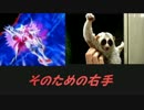 【ゆっくり実況】３DS版アプリモンスターズでオンライン対戦！part4