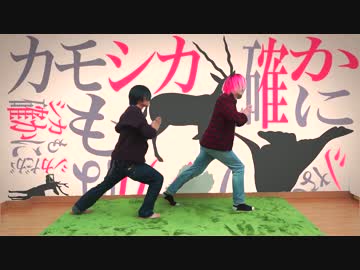 【ただのんと】カモシカチャレンジ踊ってみた【暴徒】
