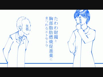 【ニコニ小噺】たわわ財閥と胸部脂肪燃焼促進薬にまつわるエトセトラ