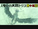 【人喰いの大鷲トリコ】最後まで面倒みるからね 第十五話【実況】
