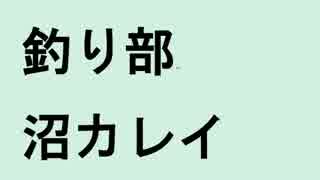 生主ＶＳカレイ(沼カレイ)　記録更新３３．５センチ