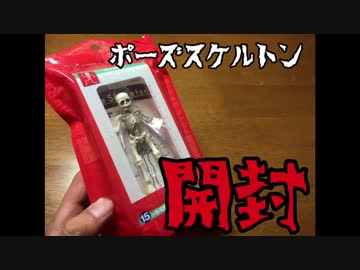 リーメント ポーズスケルトン 開封
