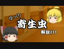 【ゆっくり解説】ゆっくり寄生虫解説#11~肝吸虫~