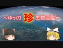 ～ゆっくり　珍　生物図鑑～　新・51回