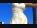 DOA5LR セクシーチャイナドレス リサ