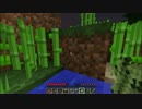 【ReIMu】チームワークを高めるためのMinecraft　part11