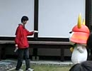 ひこにゃん　しらを切る