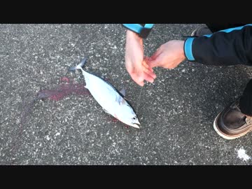 アウトドアをやろう！「釣った魚で男だらけの鍋パーティー」 in 八丈島