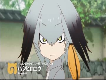 けものフレンズ今度は日本テレビでも紹介されていた