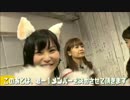 けものフレンズ　１２．４８話　「じっしゃか」　（非公式）